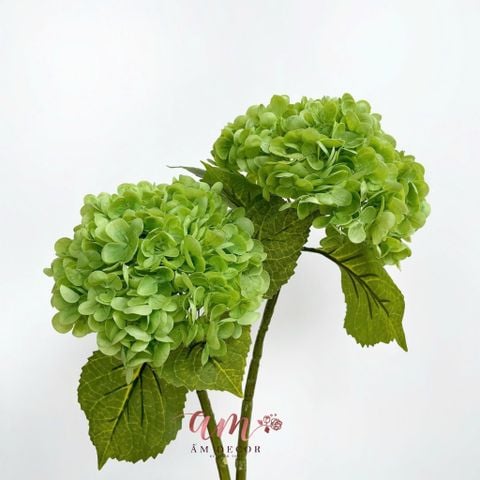  CẨM TÚ CẦU 3D (Xanh Lá) 