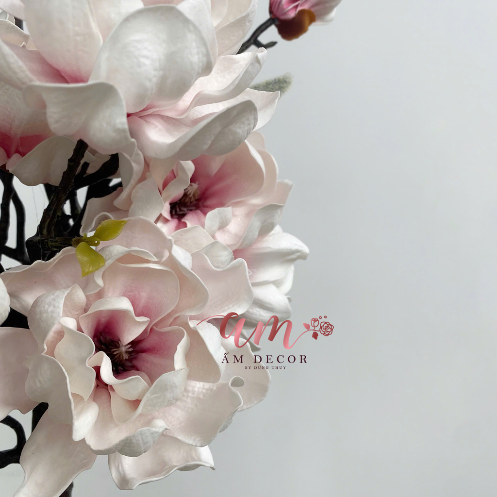 MỘC LAN KÉP CÁNH XOĂN (Hồng)