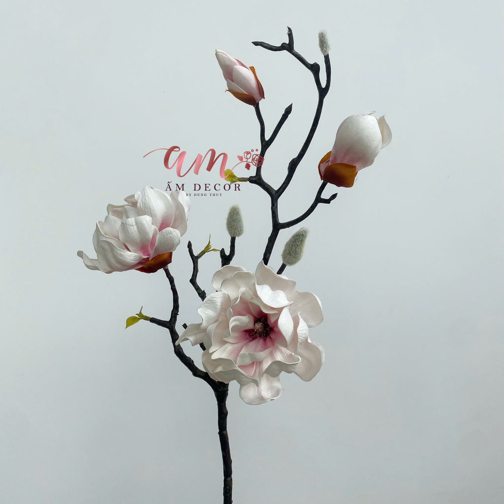 MỘC LAN KÉP CÁNH XOĂN (Hồng)