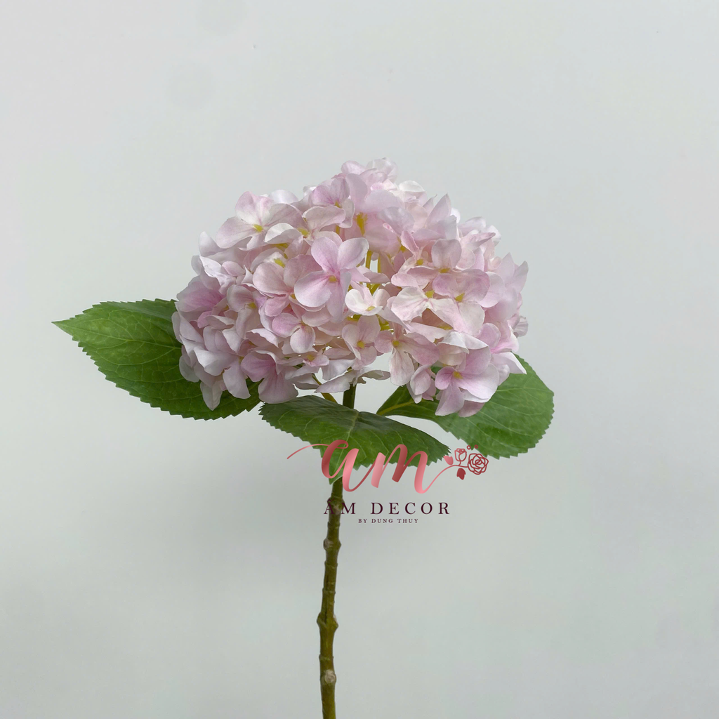 CẨM TÚ CẦU VẢI LỤA (Hồng)