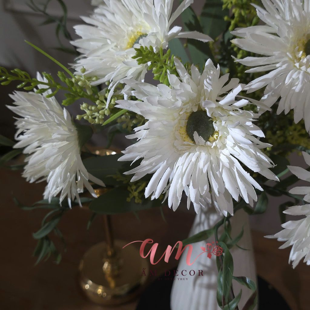 BÌNH HOA PURE SANOTA