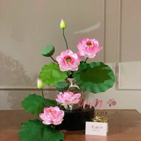  BÌNH HOA LOTUS ESSENCE 