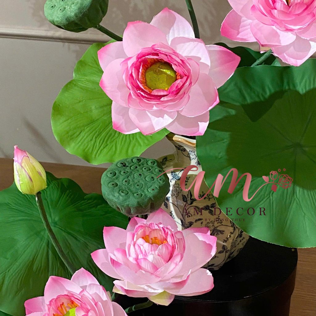 BÌNH HOA LOTUS ESSENCE