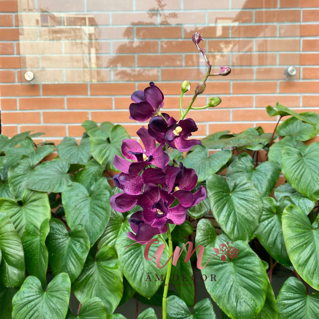 HOA LAN LAVANDA CÀNH NHỎ 3D (Đỏ Đô)