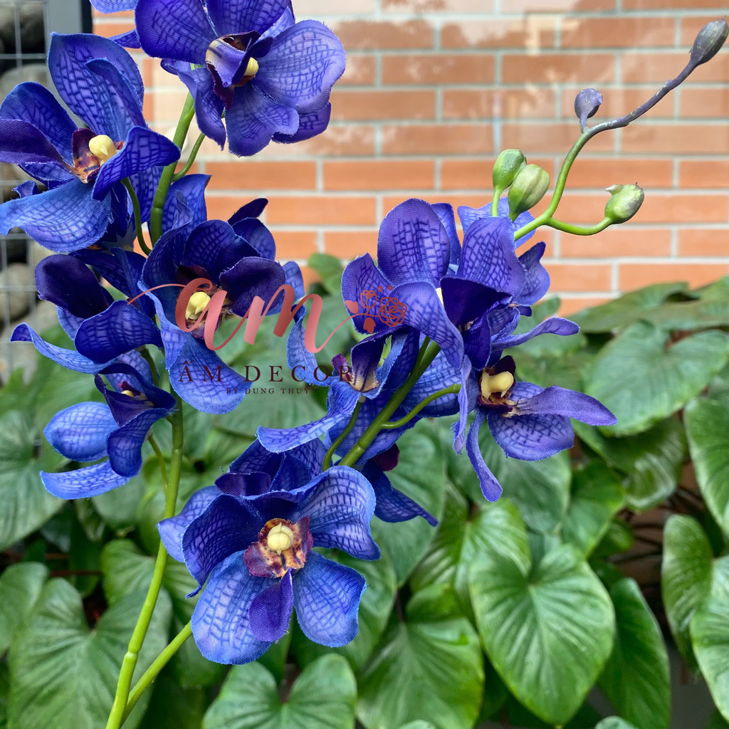 HOA LAN LAVANDA CÀNH NHỎ 3D (Xanh Dương Đậm)