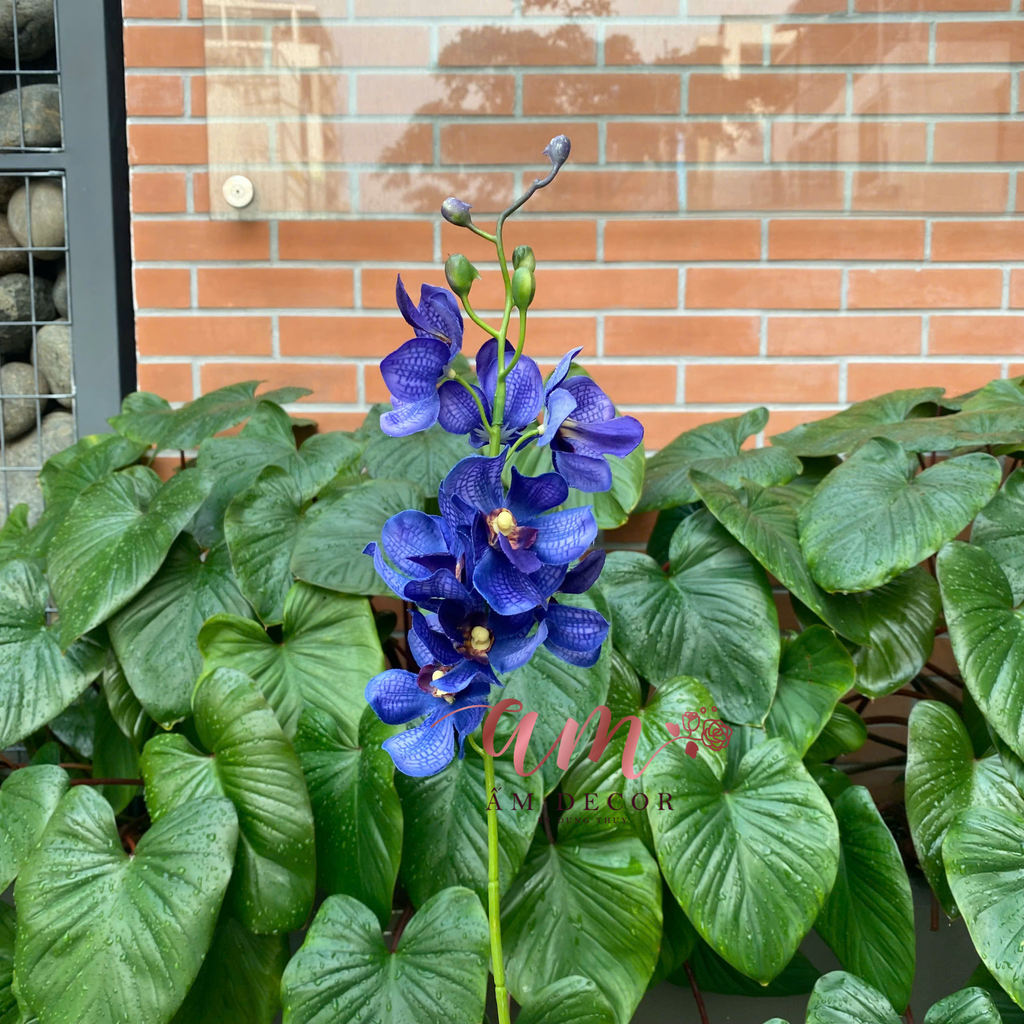 HOA LAN LAVANDA CÀNH NHỎ 3D (Xanh Dương Đậm)