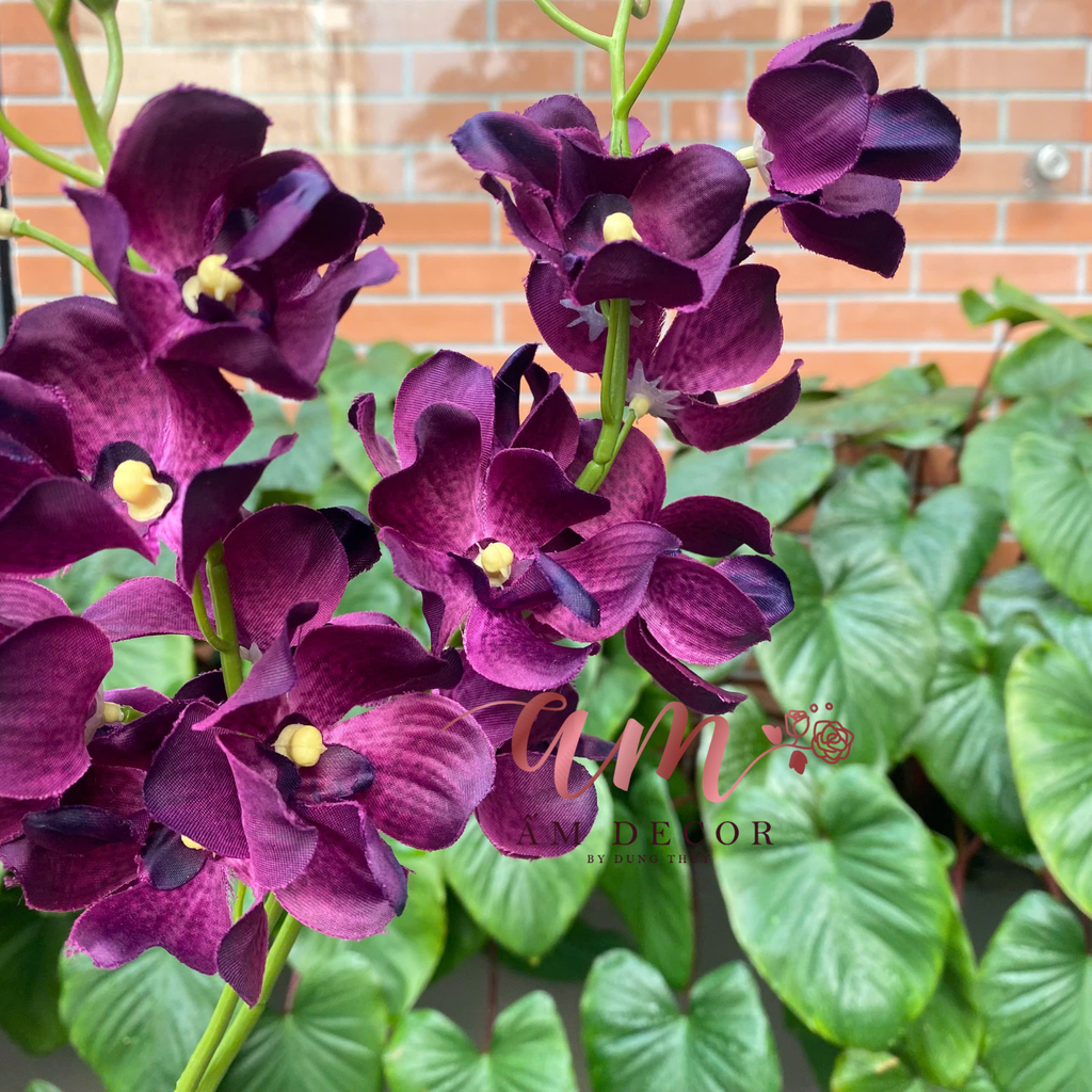 HOA LAN LAVANDA CÀNH NHỎ 3D (Đỏ Đô)