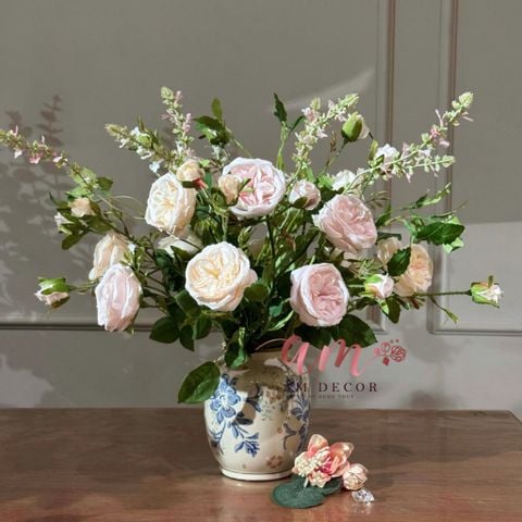  BÌNH HOA AUSTIN DAVID 