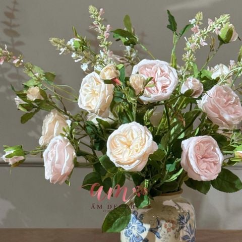  BÌNH HOA AUSTIN DAVID 