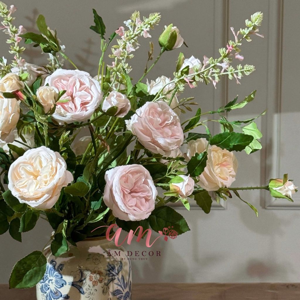 BÌNH HOA AUSTIN DAVID