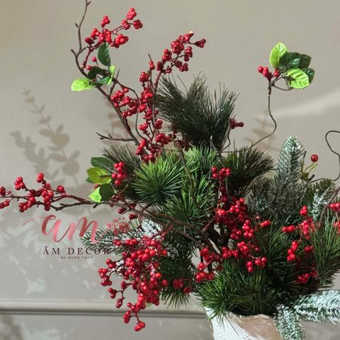  BÌNH HOA EVERGREEN WHISPER 