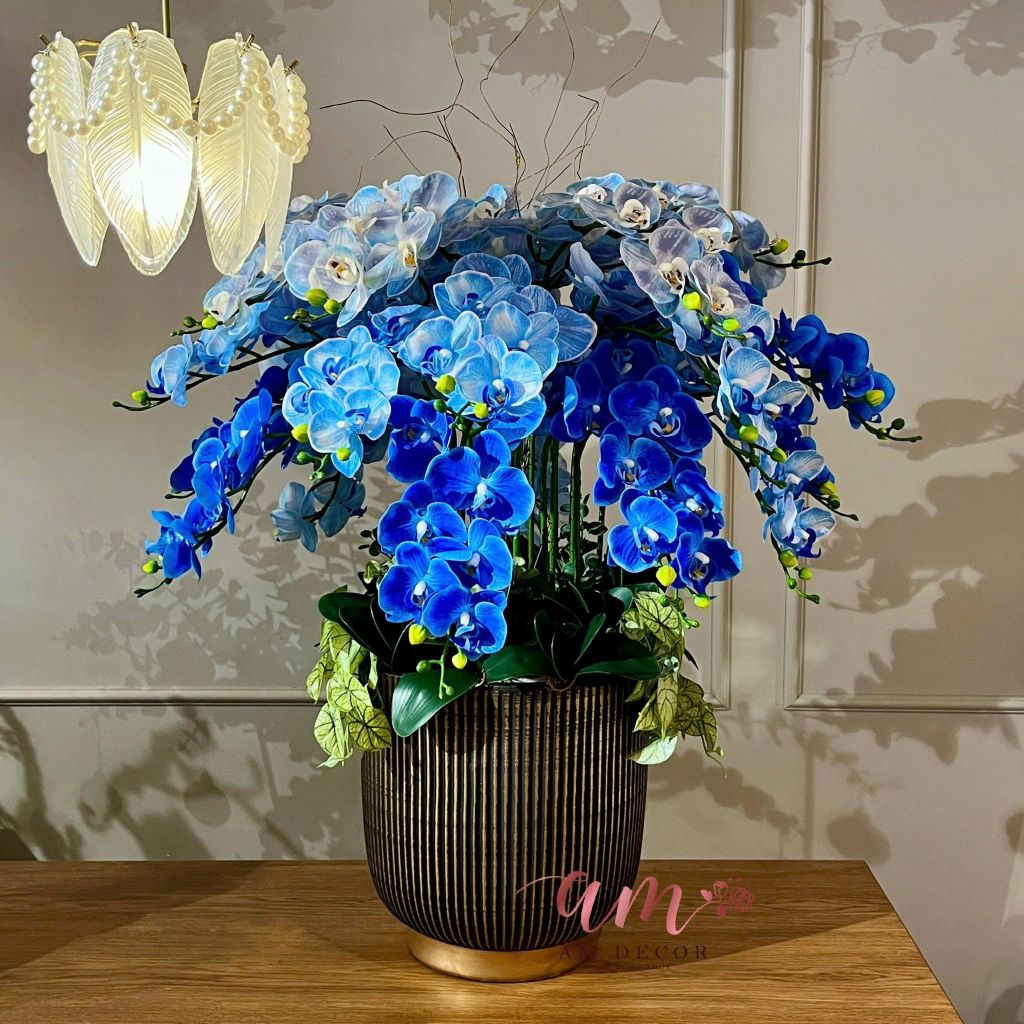 BÌNH HOA OCEAN ORCHID MOON