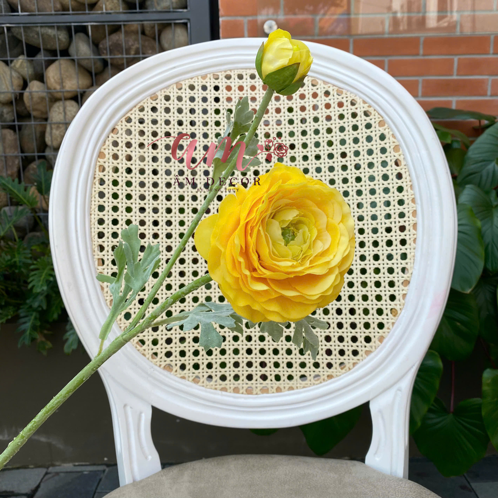 MAO LƯƠNG MẪU ĐƠN (Vàng)