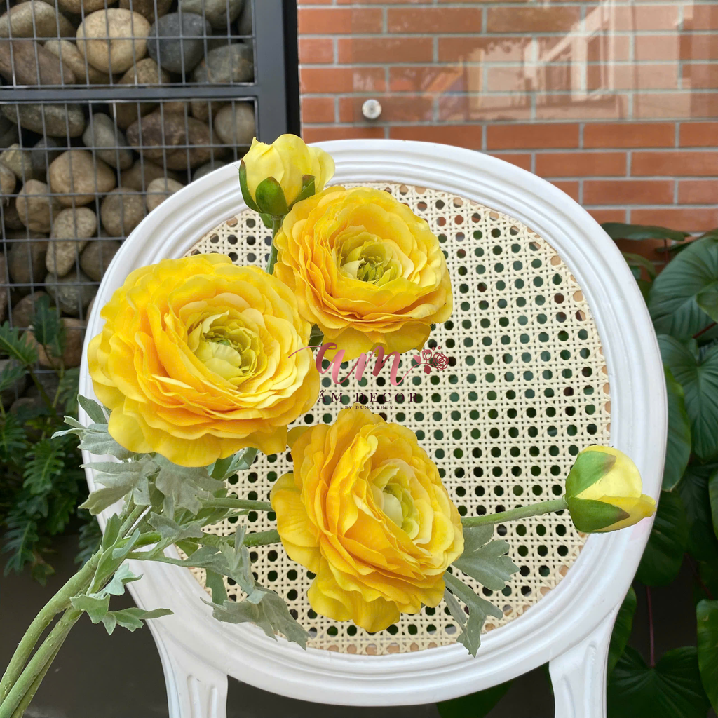 MAO LƯƠNG MẪU ĐƠN (Vàng)