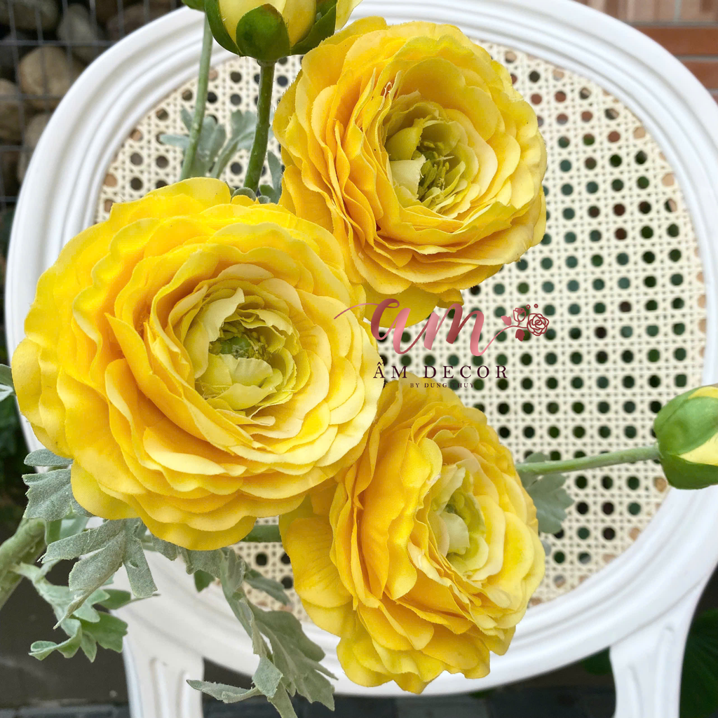 MAO LƯƠNG MẪU ĐƠN (Vàng)