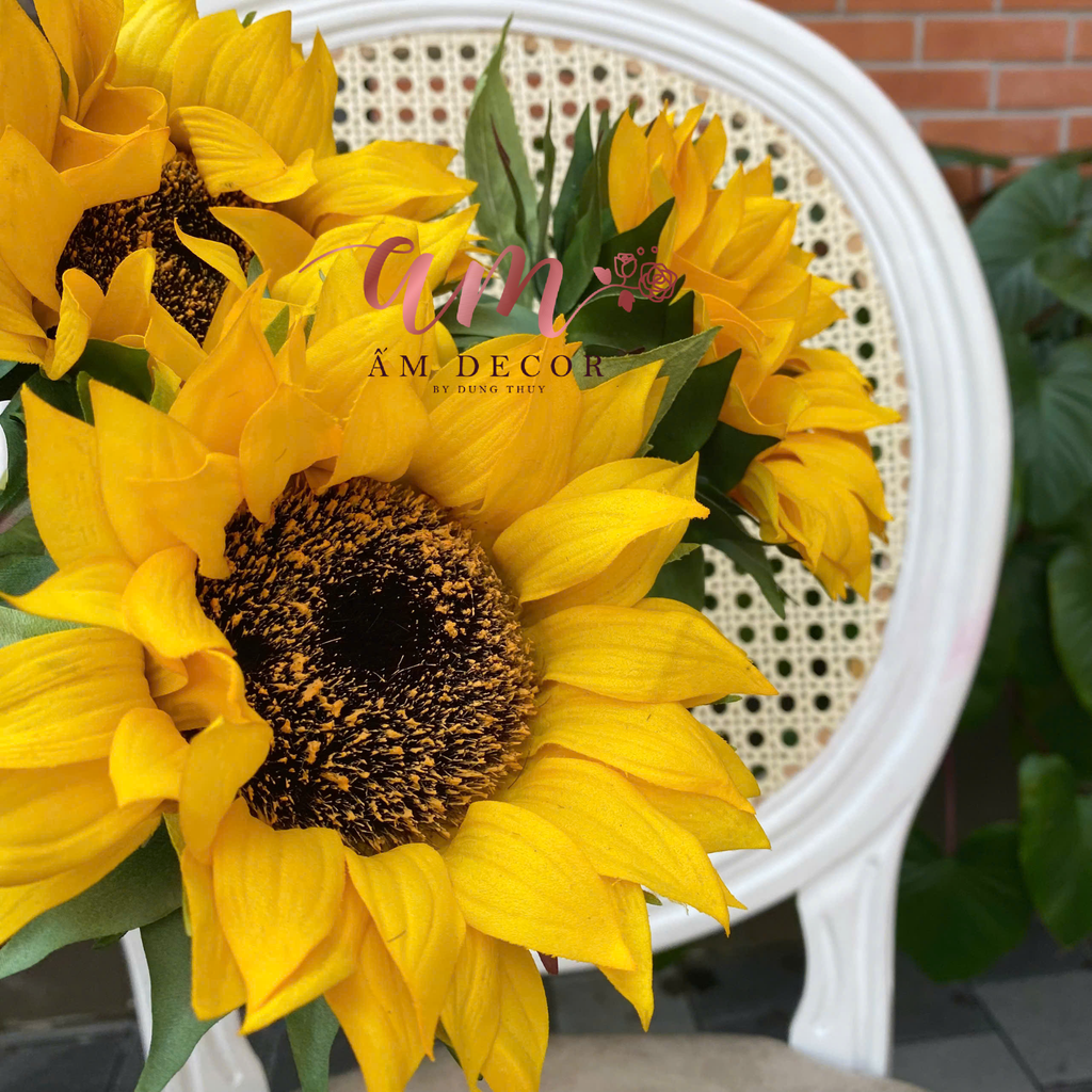 HƯỚNG DƯƠNG DƯỠNG ẨM