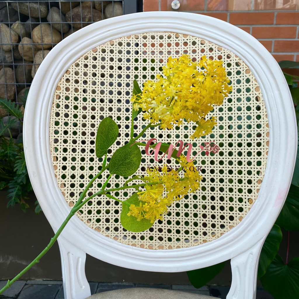 HOA SƯƠNG MÙ DẠI (Vàng)