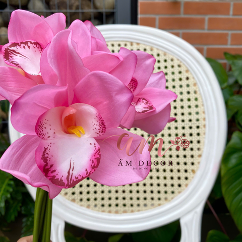  ĐỊA LAN NGẮN (Hồng Đậm) 