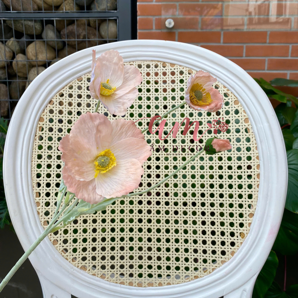 ANH TÚC 3D LỤA ẨM (Sâmpanh)