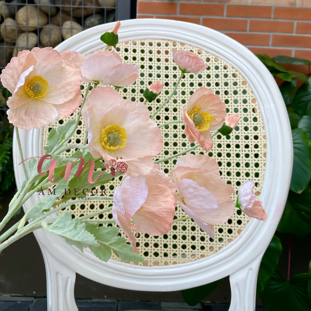 ANH TÚC 3D LỤA ẨM (Sâmpanh)