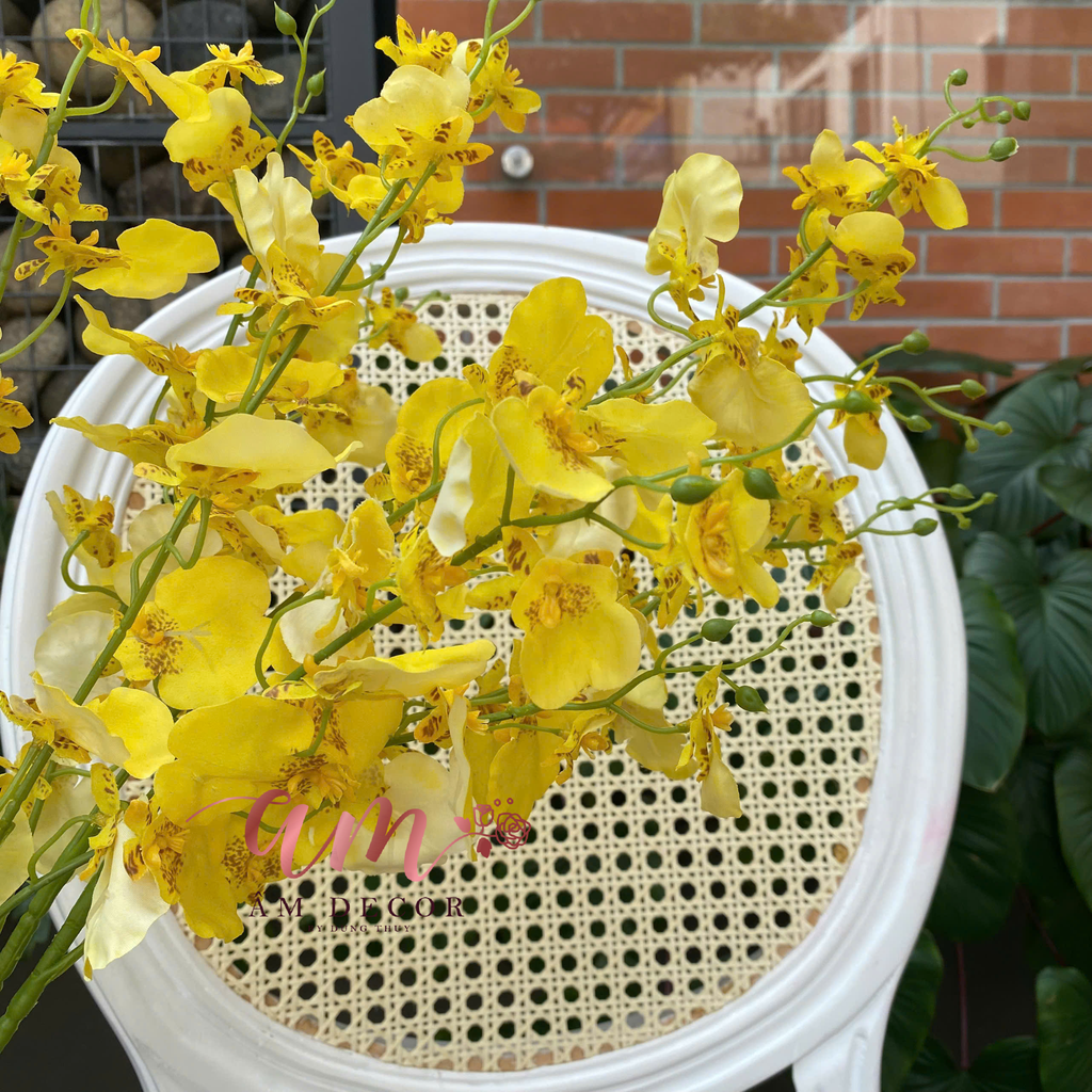 LÁ CON CÔNG VŨ NỮ DƯỠNG ẨM (Vàng)