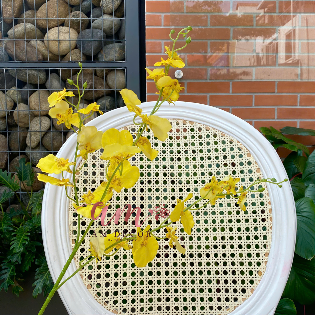 LÁ CON CÔNG VŨ NỮ DƯỠNG ẨM (Vàng)