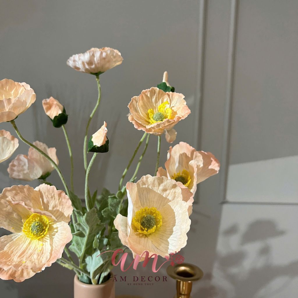 ZBÌNH HOA ATUIS POPPY