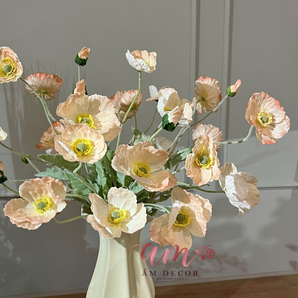 ZBÌNH HOA ALBA POPPY