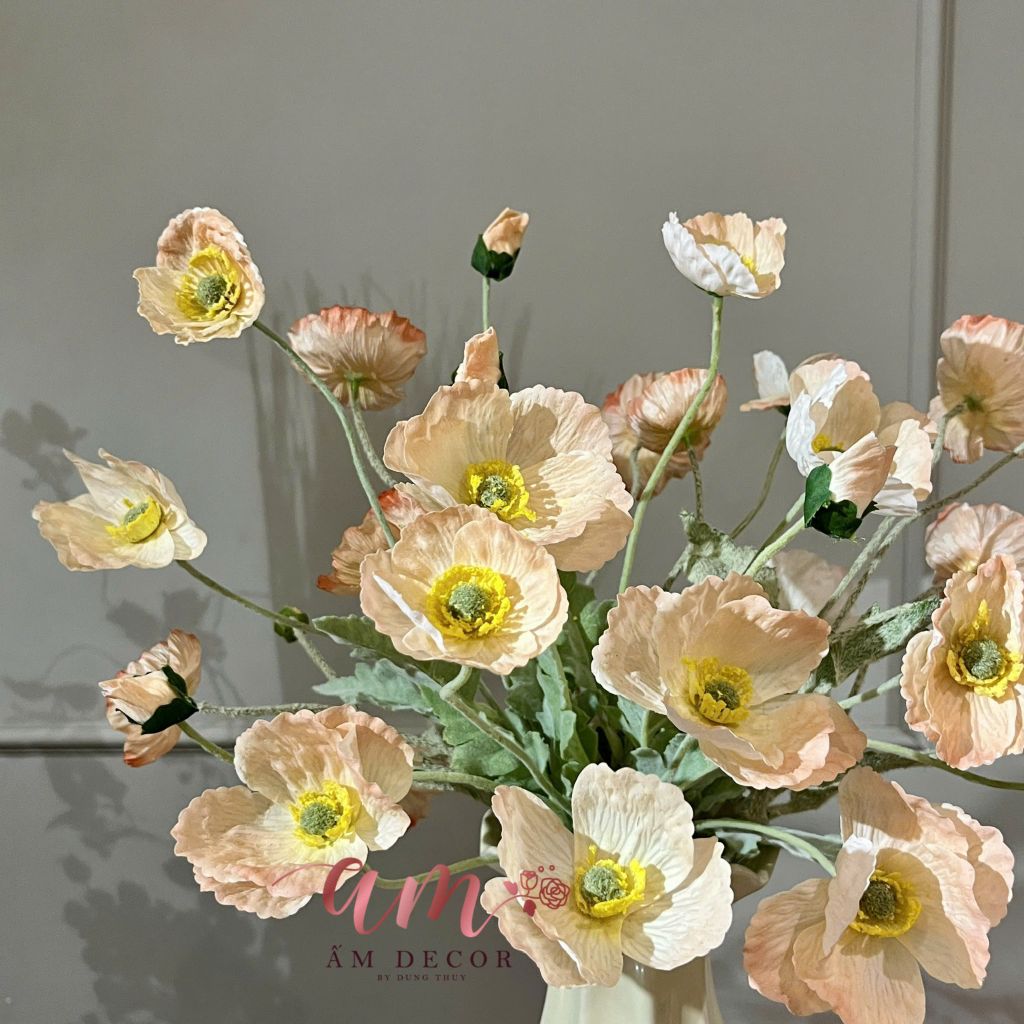 ZBÌNH HOA ALBA POPPY