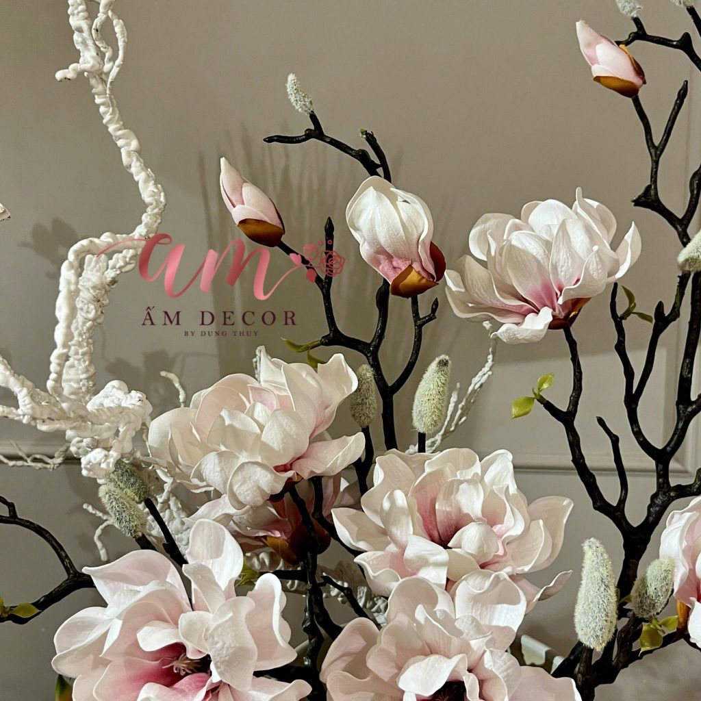 ZBÌNH HOA AETHER MAGNOLIA