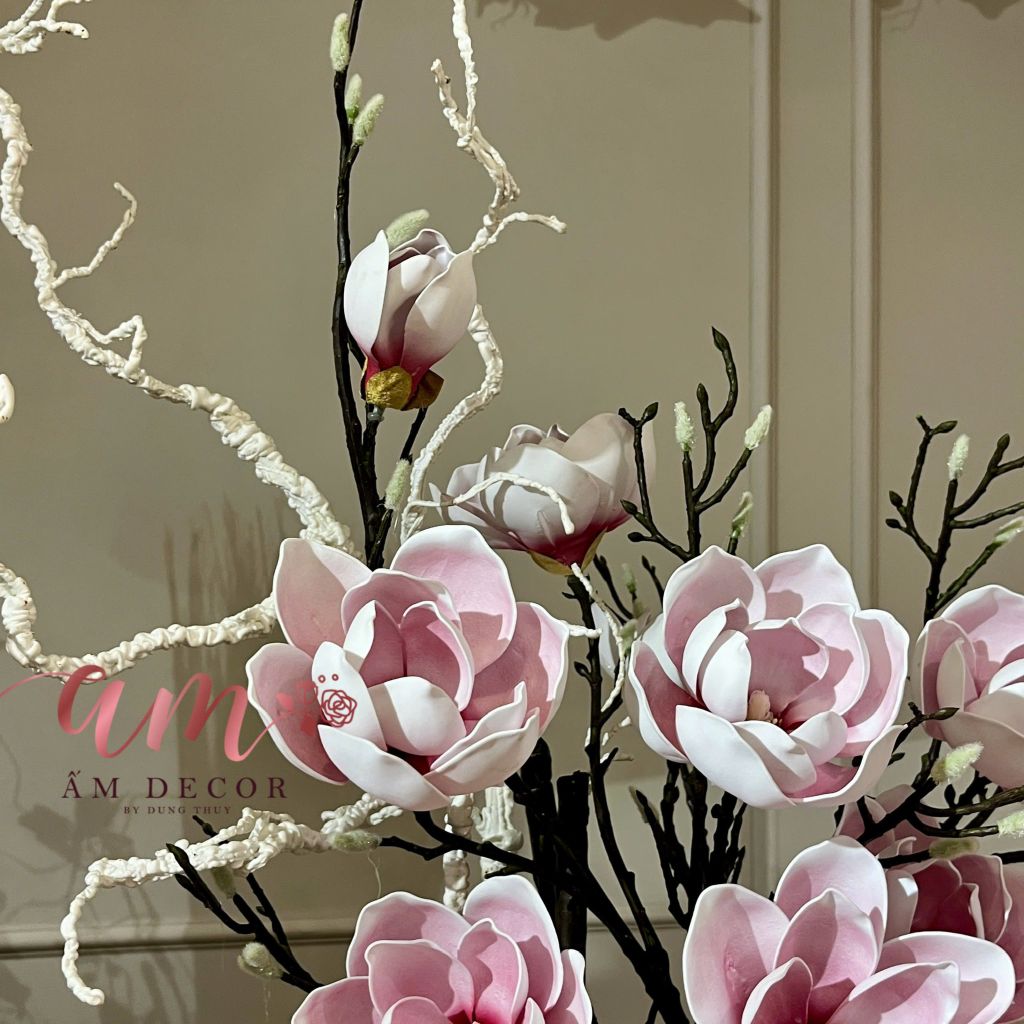 ZBÌNH HOA ARIA MAGNOLIA MULAN