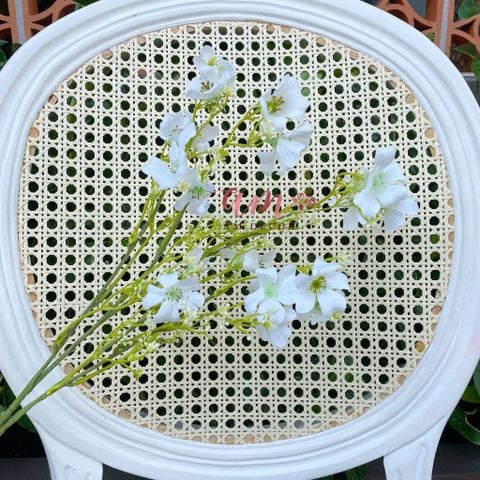  CÀNH HOA HƯƠNG TUYẾT (Trắng) 