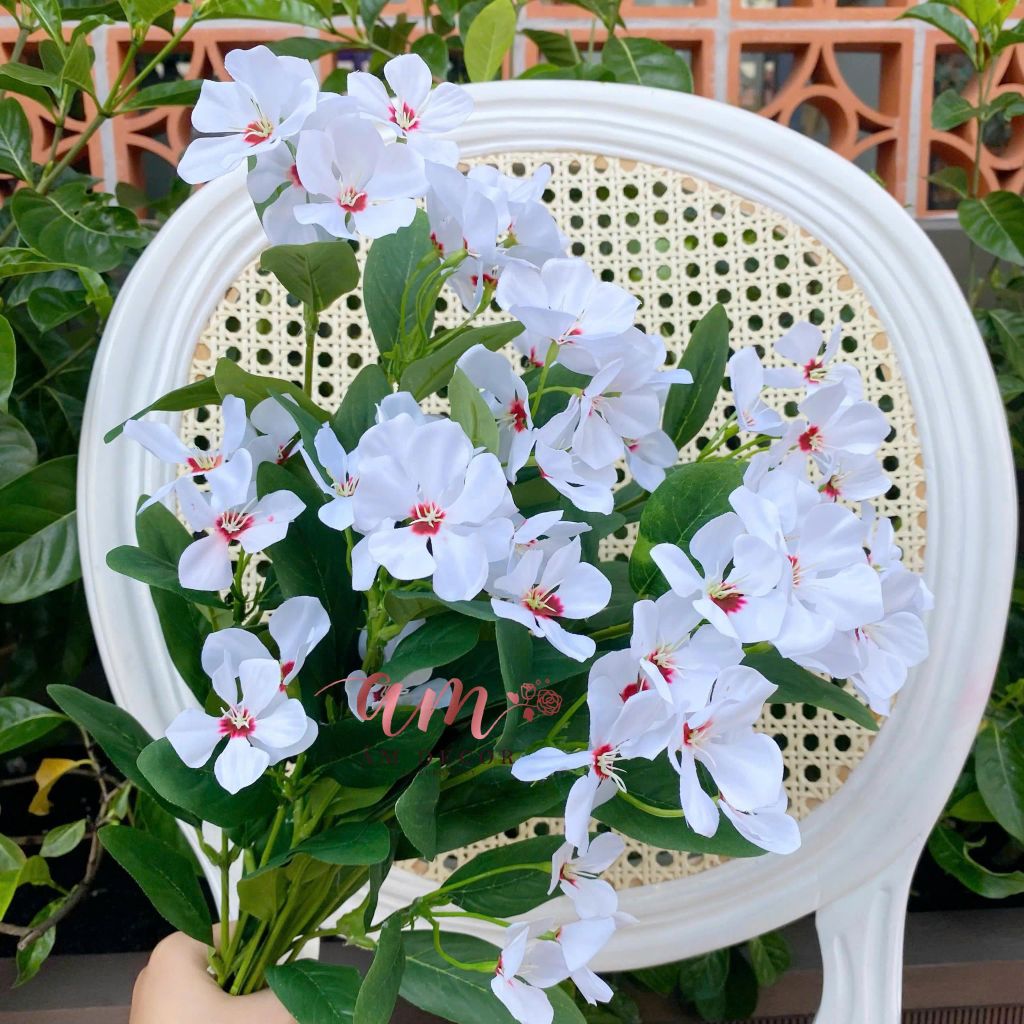 CÀNH HOA NGỌC LAN NHAM LÊ TRẮNG