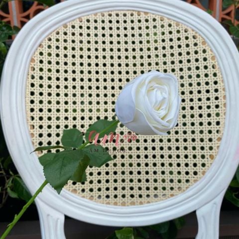  CÀNH HOA HỒNG TRẮNG VƯƠNG MIỆN LỤA ẨM 