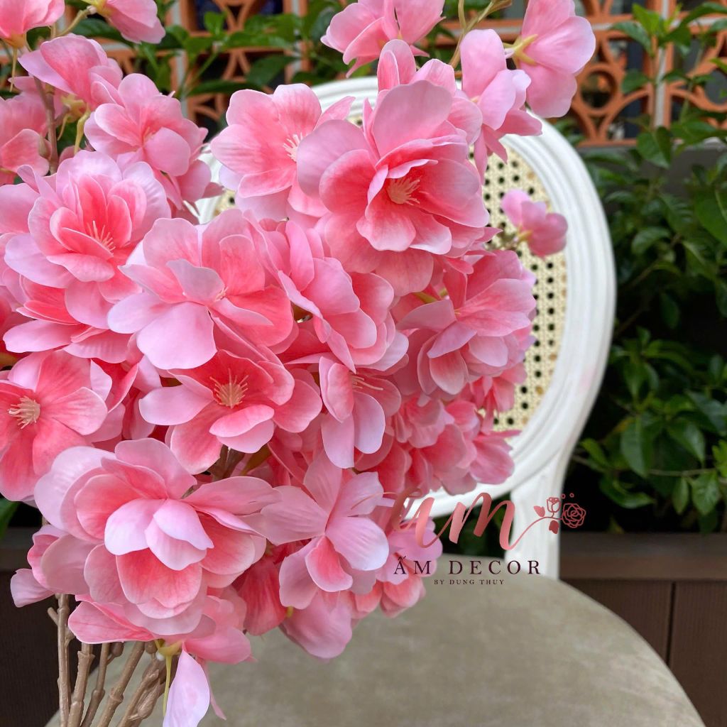 SAKURA LỤA ẨM