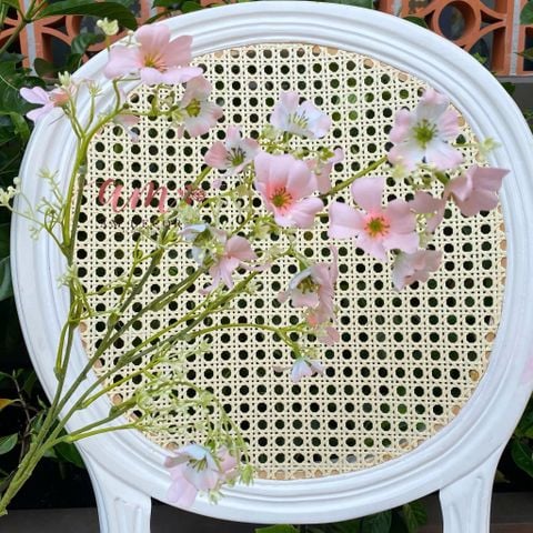  CÀNH HOA HƯƠNG TUYẾT (Cam) 