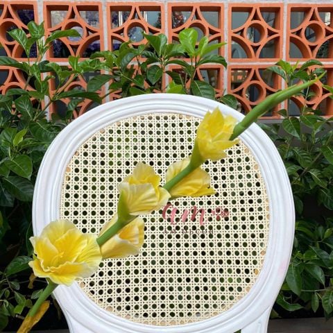  CÀNH HOA LAY ƠN LỤA ẨM (Vàng) 