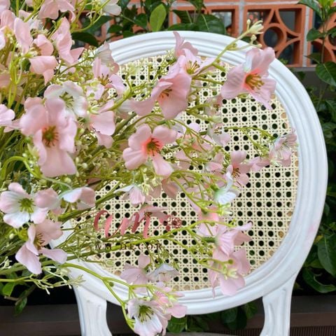  CÀNH HOA HƯƠNG TUYẾT (Cam) 