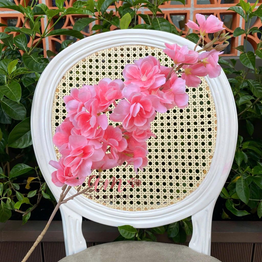 SAKURA LỤA ẨM