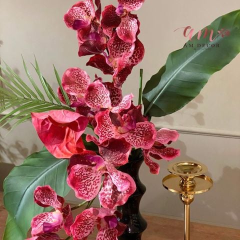  BÌNH HOA AGNET ORCHID SCARLET 