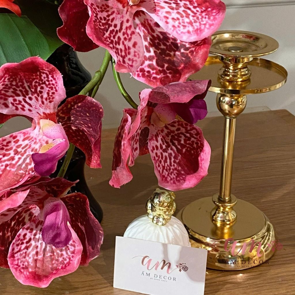 BÌNH HOA AGNET ORCHID SCARLET