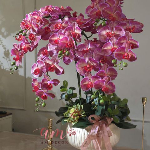  BÌNH HOA AROSÉ INFERNO 