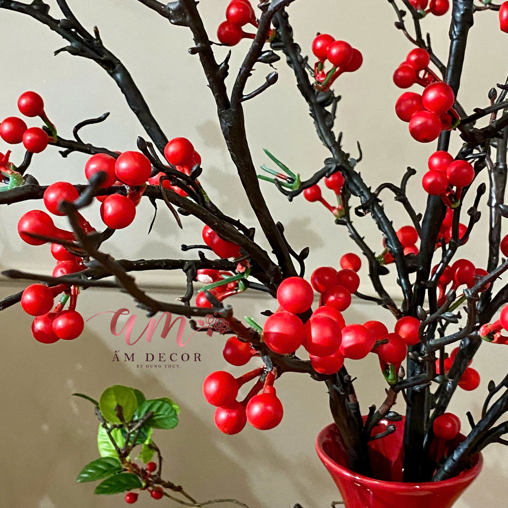 ZBÌNH HOA SCARLET EMBER