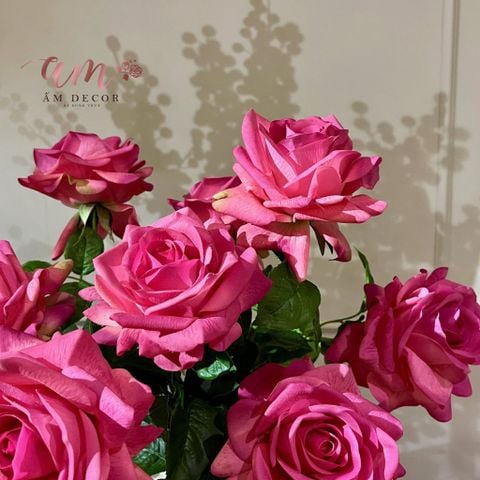  BÌNH HOA AUREATE ROYALE 