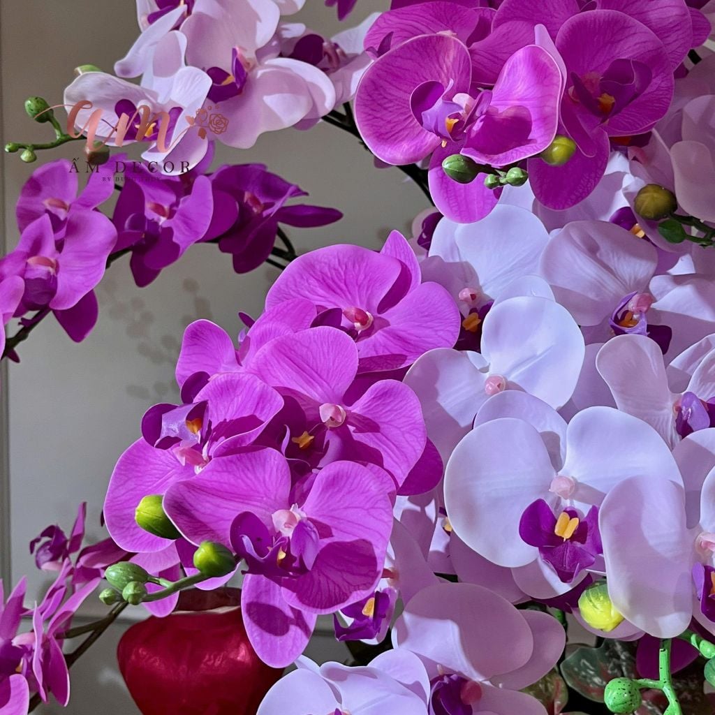 BÌNH HOA AVANT ORCHID BLOOM