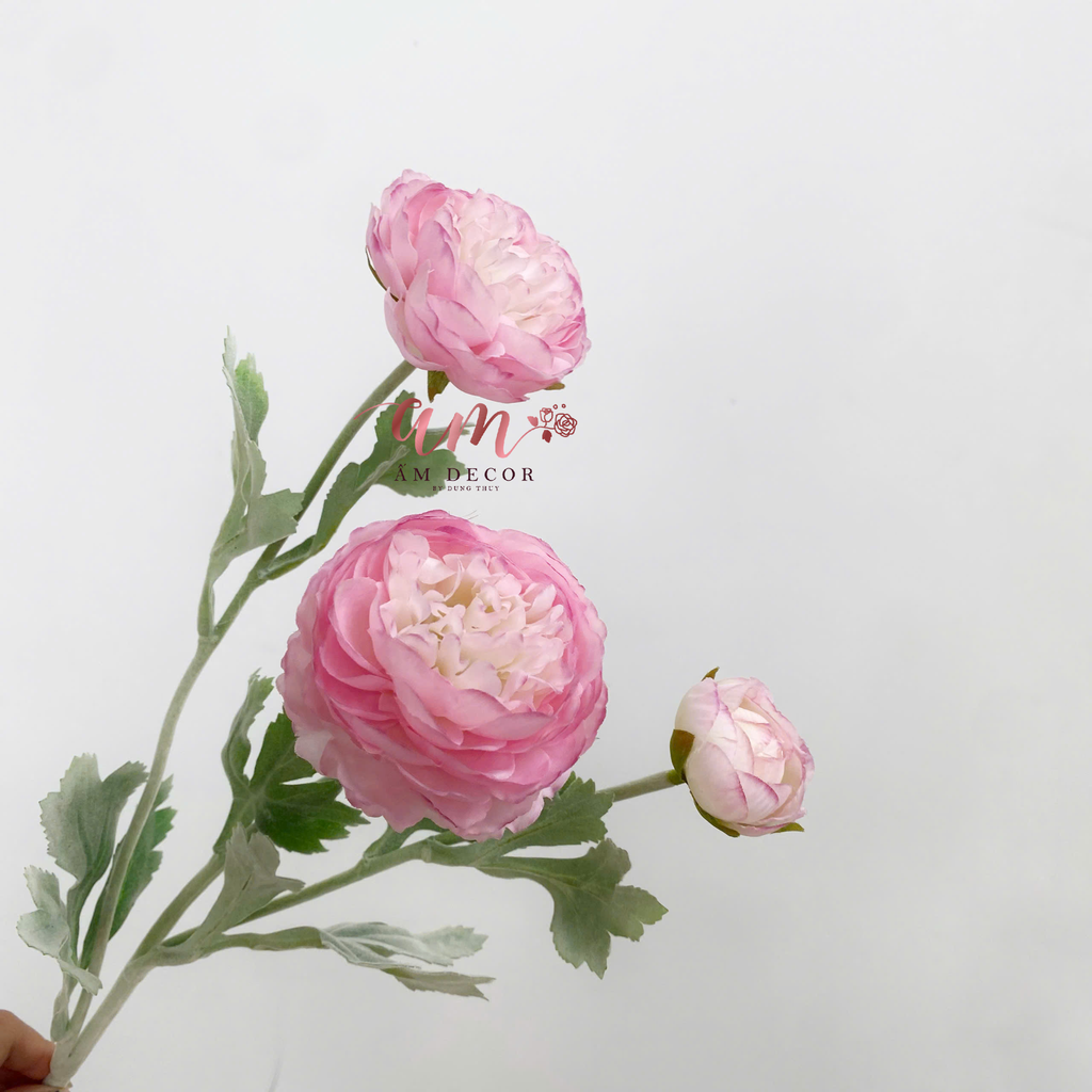 CÀNH HOA MẪU ĐƠN BÚP (Hồng Đậm)
