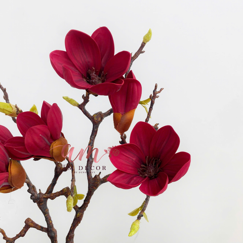  CÀNH HOA MỘC LAN 3B NHỎ 