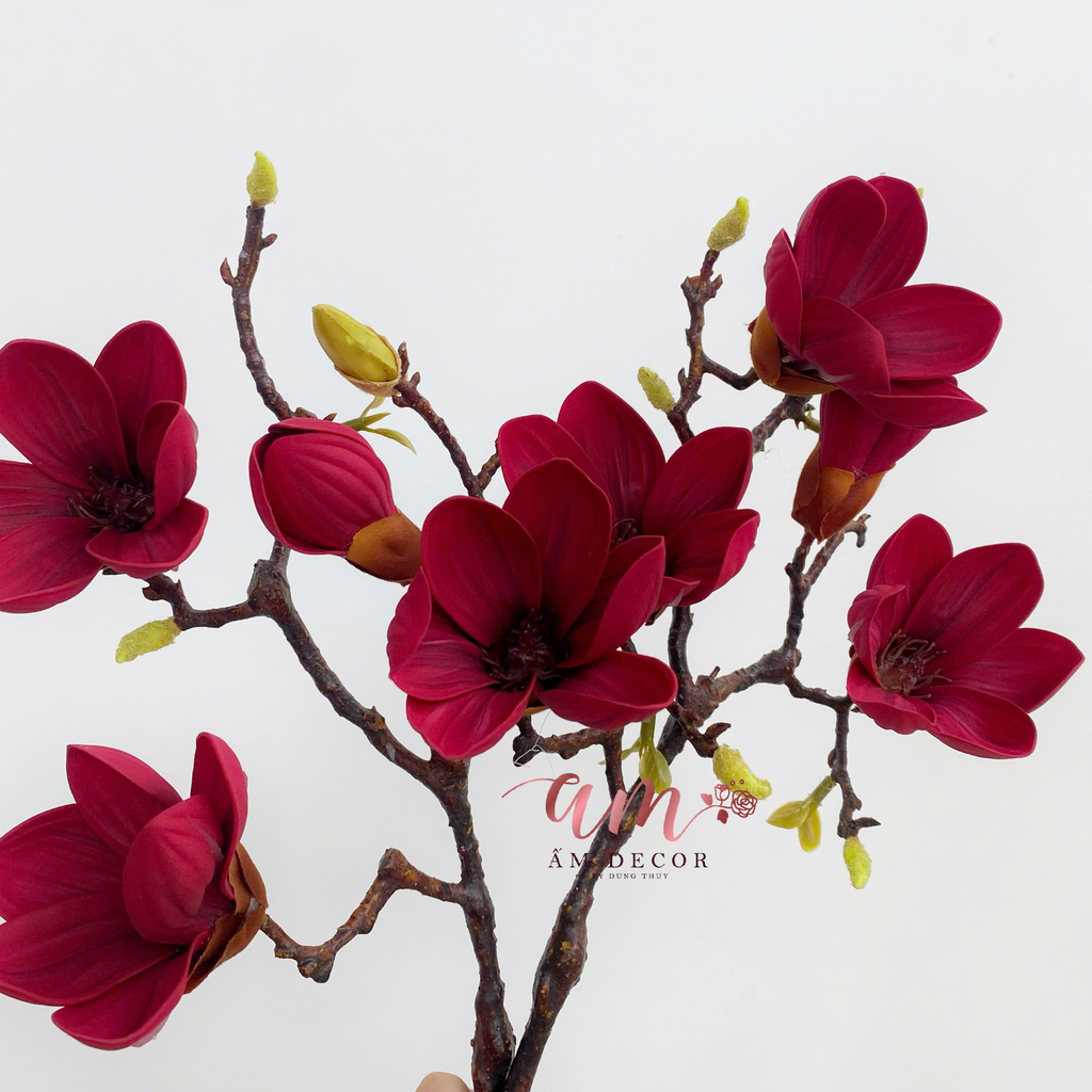 CÀNH HOA MỘC LAN 3B NHỎ