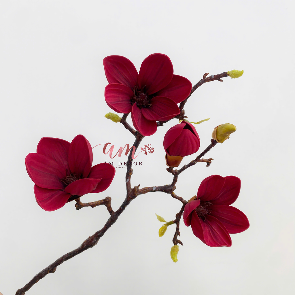 CÀNH HOA MỘC LAN 3B NHỎ