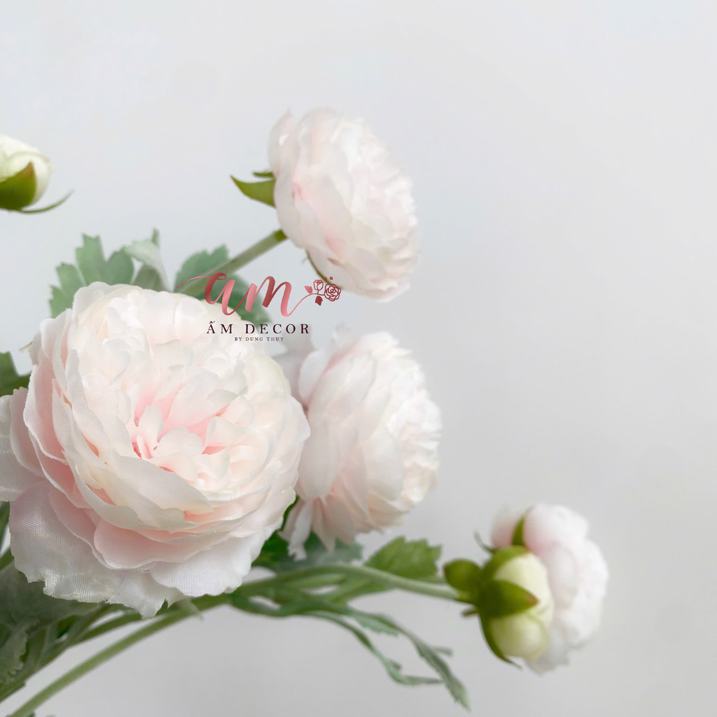 CÀNH HOA MẪU ĐƠN BÚP (Hồng)